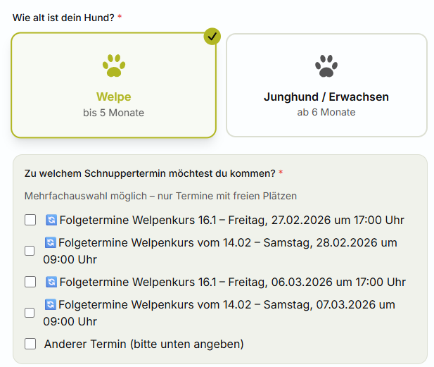 Dynamisches Anmeldeformular der Hundeschule hundevoll – automatische Auswahl von Welpen- oder Junghund-Kurs mit Schnuppertermin-Buchung