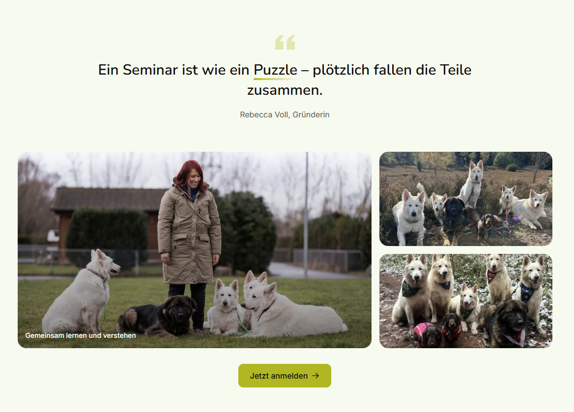 Rebecca Voll mit ihren Hunden auf dem Trainingsplatz – authentische Bildwelt der Hundeschule hundevoll